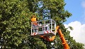 Meadow Hills Tree Service